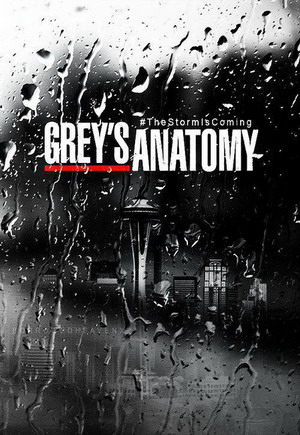 Grey's Anatomy Seasons 1-11 on DVD