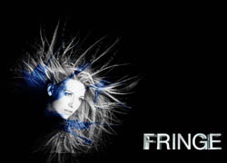 Fringe Seasons 1-2 DVD Boxset