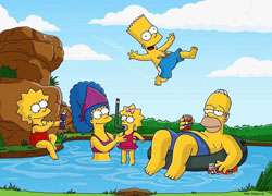 The Simpsons Season 21 DVD Boxset