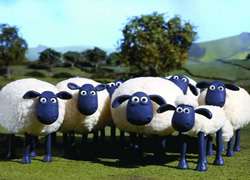 Shaun The Sheep Season 1 DVD Boxset