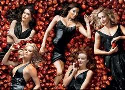 Desperate Housewives Seasons 1-4 DVD Boxset