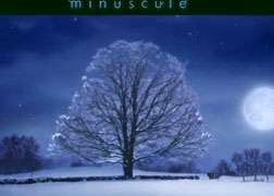 Minuscule Complete Series DVD Boxset