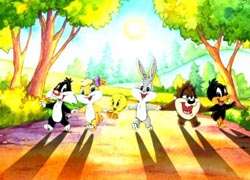 The Looney Tunes Seasons 1-2 DVD Boxset
