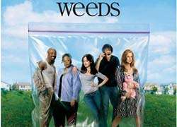 Weeds Season 5 DVD Boxset