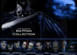 Batman The Complete Collection Animated Series DVD Boxset