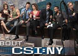 CSI New York Season 5 DVD Boxset