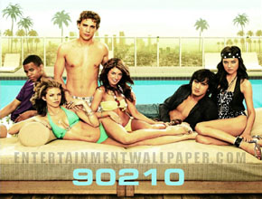 90210 Seasons 1-4 DVD Box Set