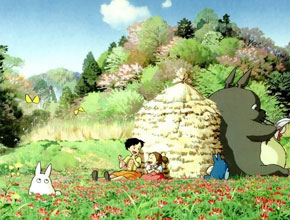 Hayao Miyazaki Movies Collection 41 DVD Set