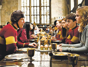 Harry Potter Seasons 1-8 DVD Box Set